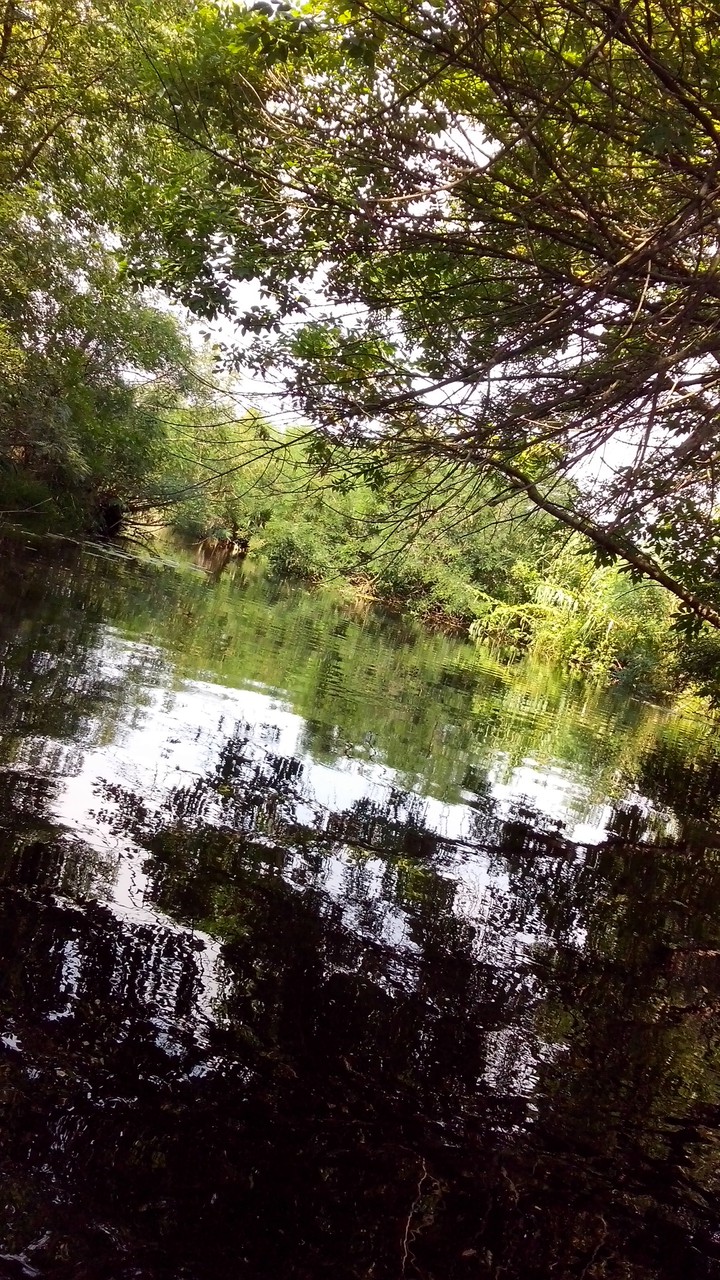 река