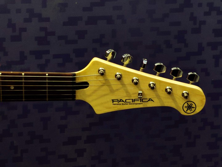 Electric Guitar