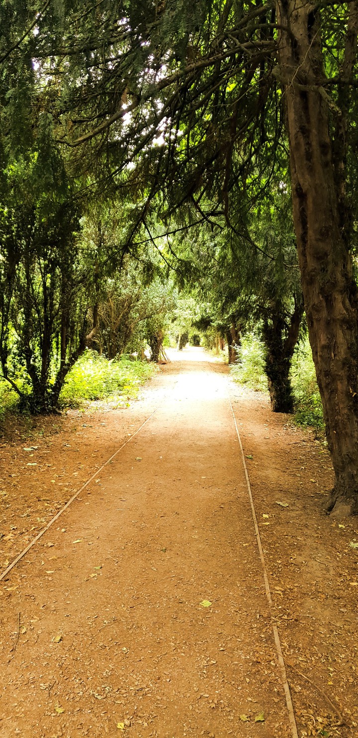 Afternoon walk