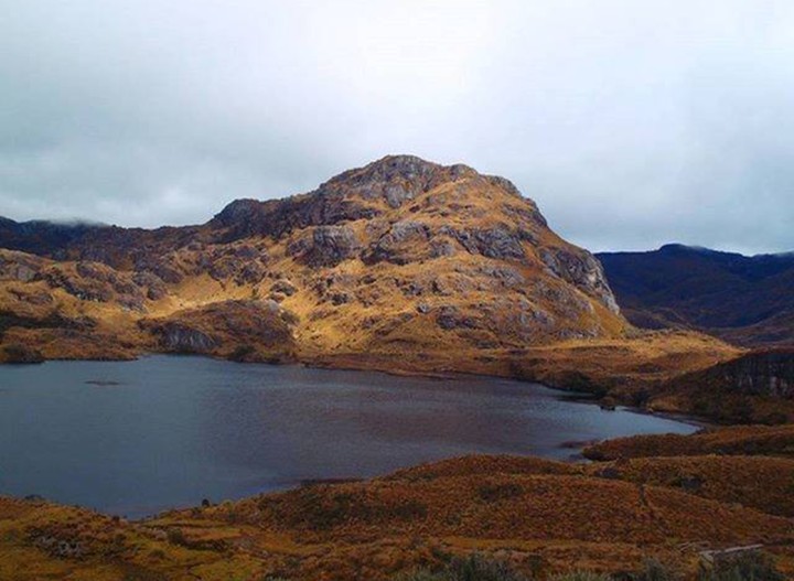 Toreadora Lake Cajas National Park