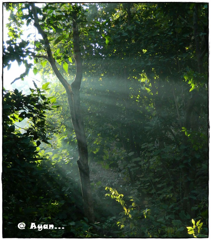 The sunslit