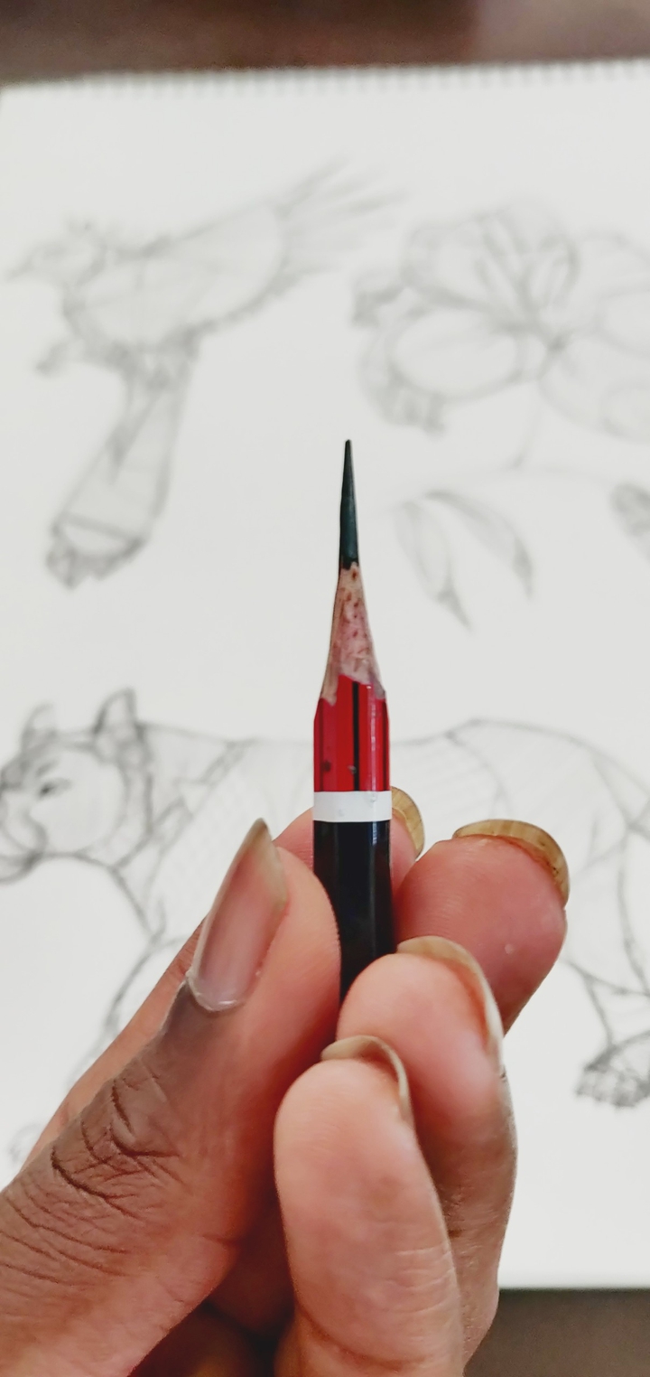 pencil