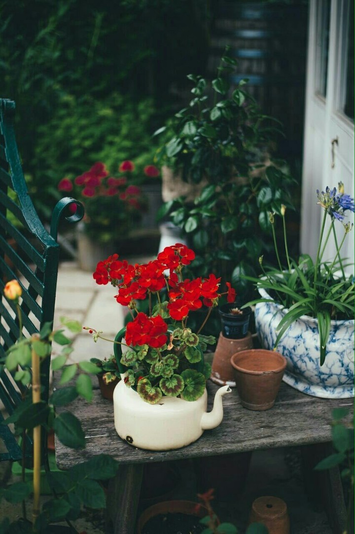 the red