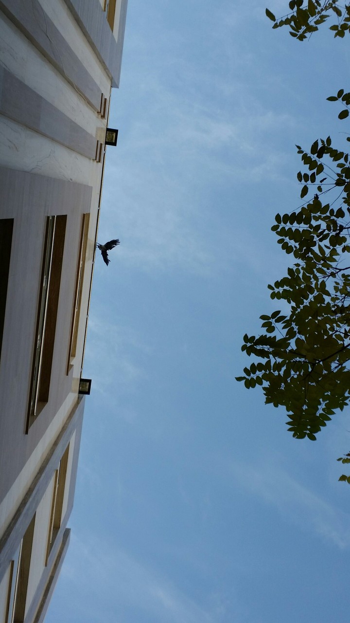 LANDING!