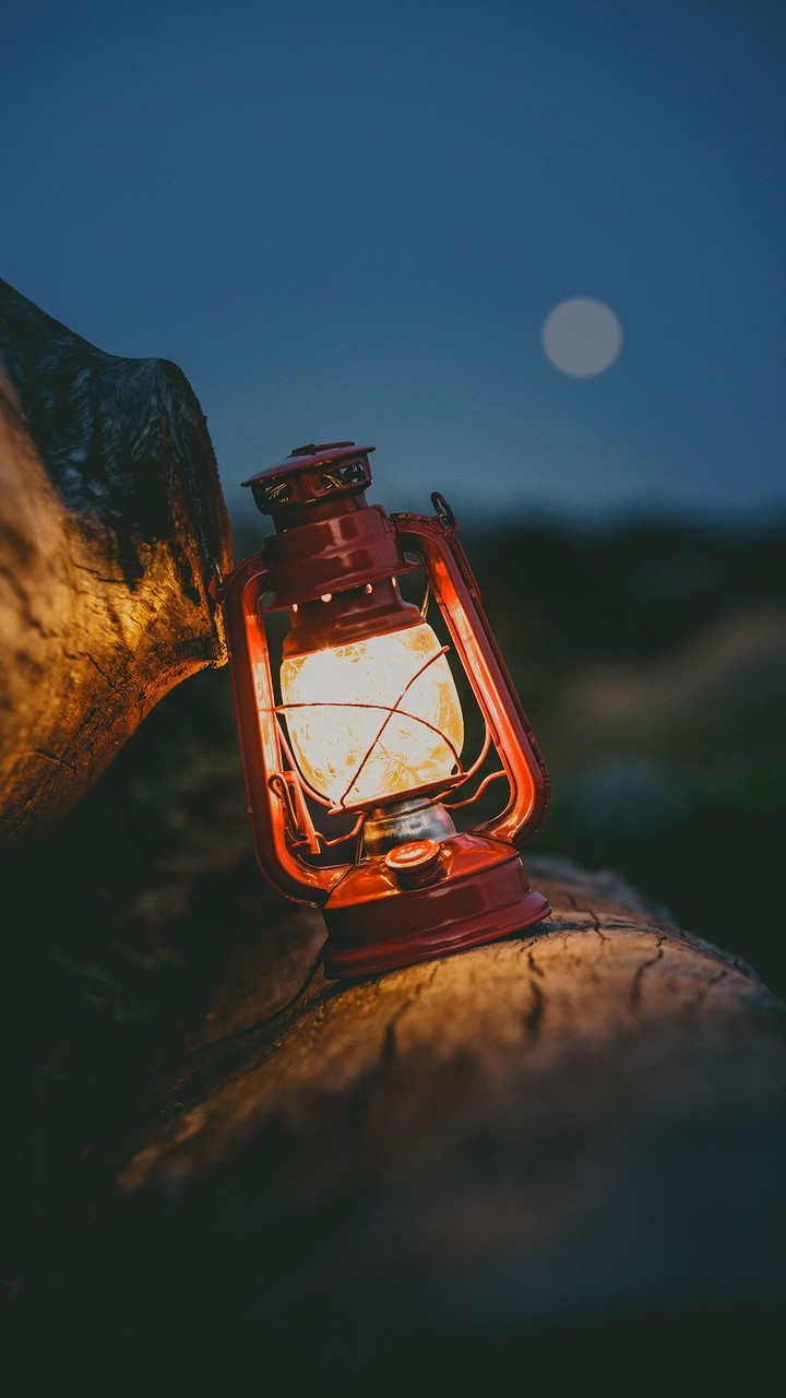 una luz en la oscuridad