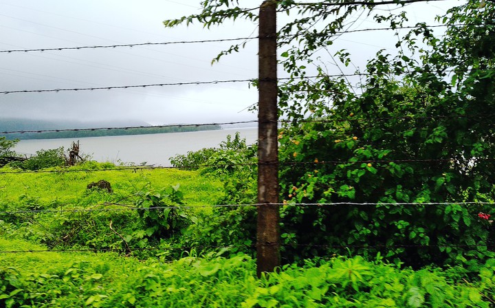 pawna lake