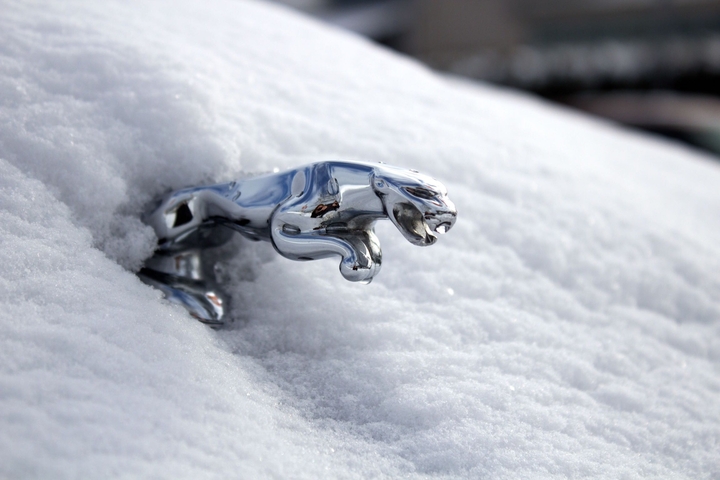 jaguar logo