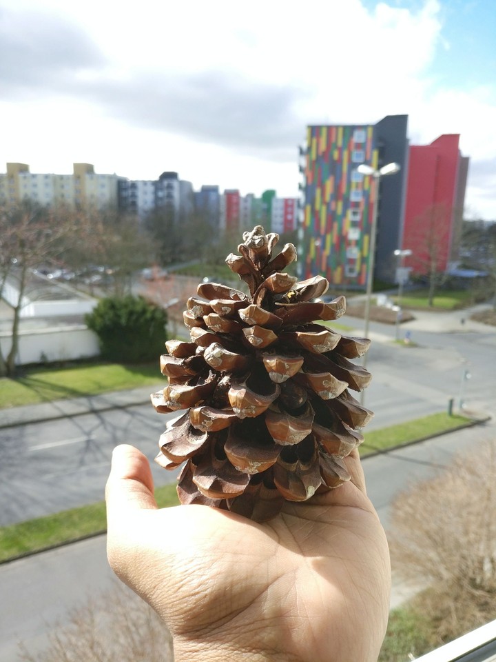 cone