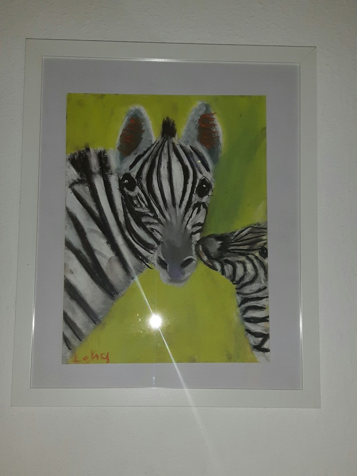 Zebras