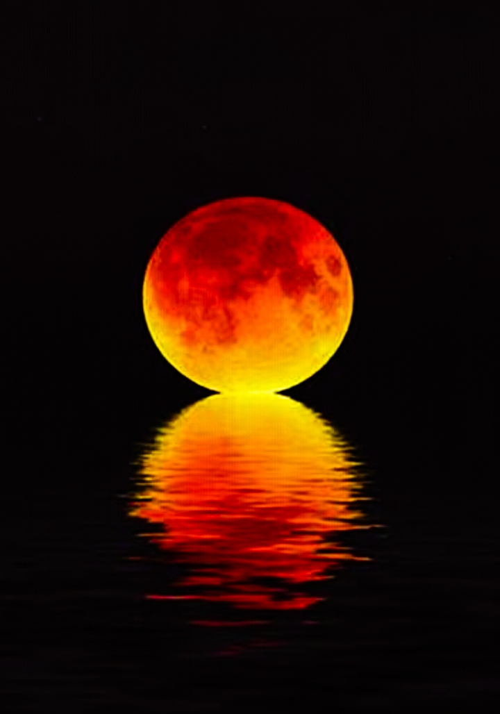 moon & moon