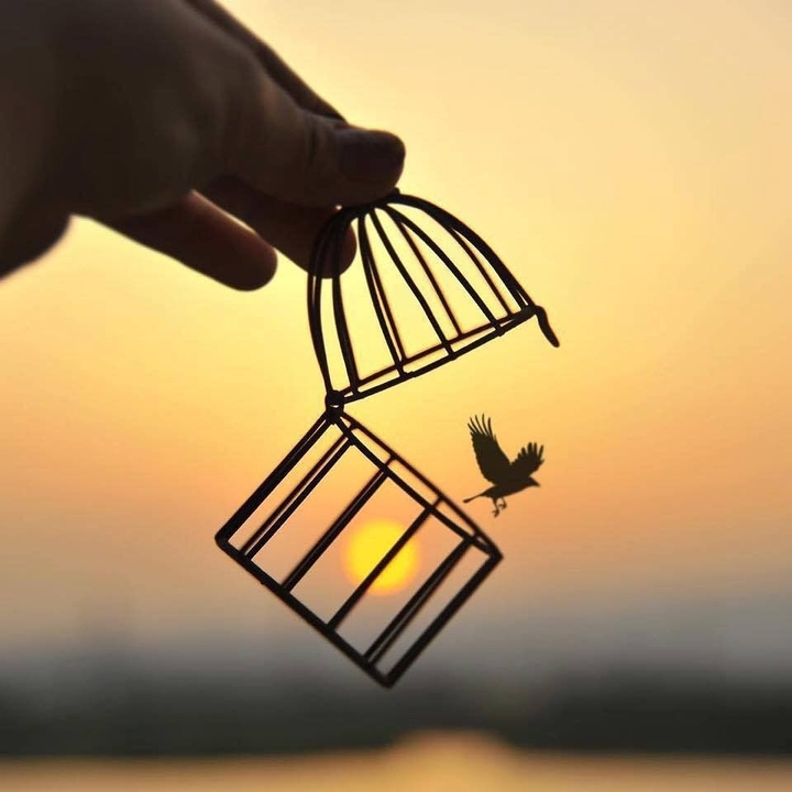 Freedom of life