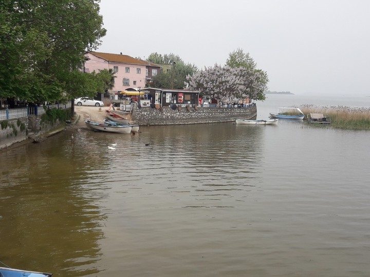 Gölyazı