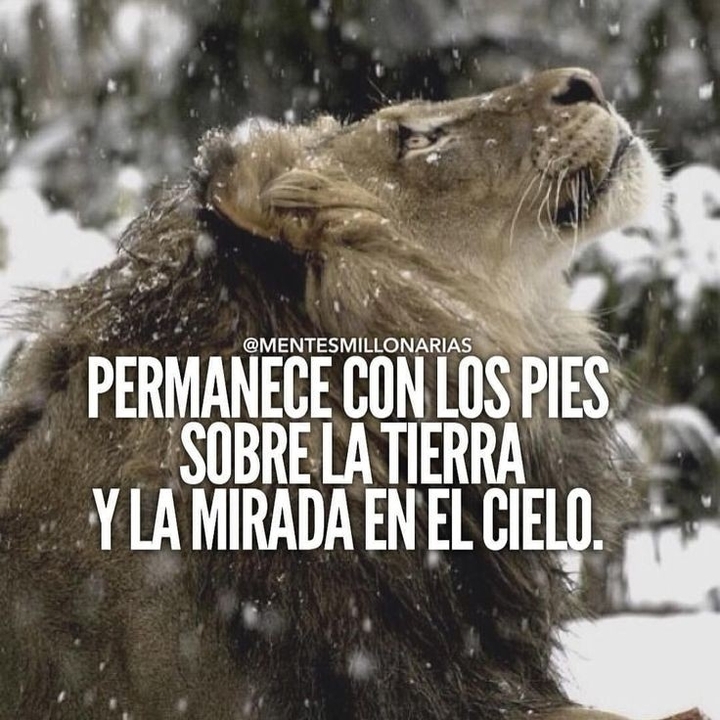 León