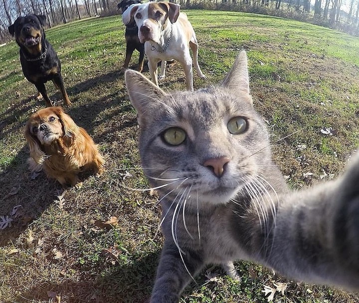 #selfie2