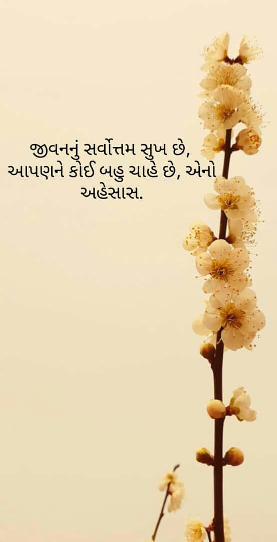 Aapka yar