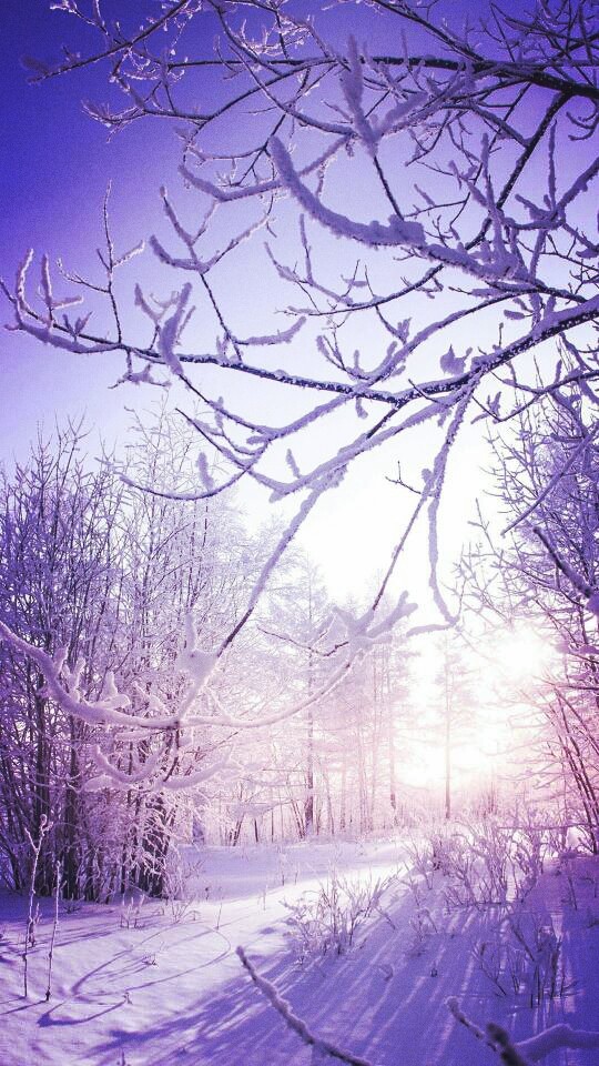 snow