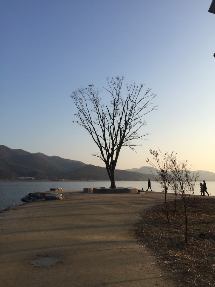 풍경