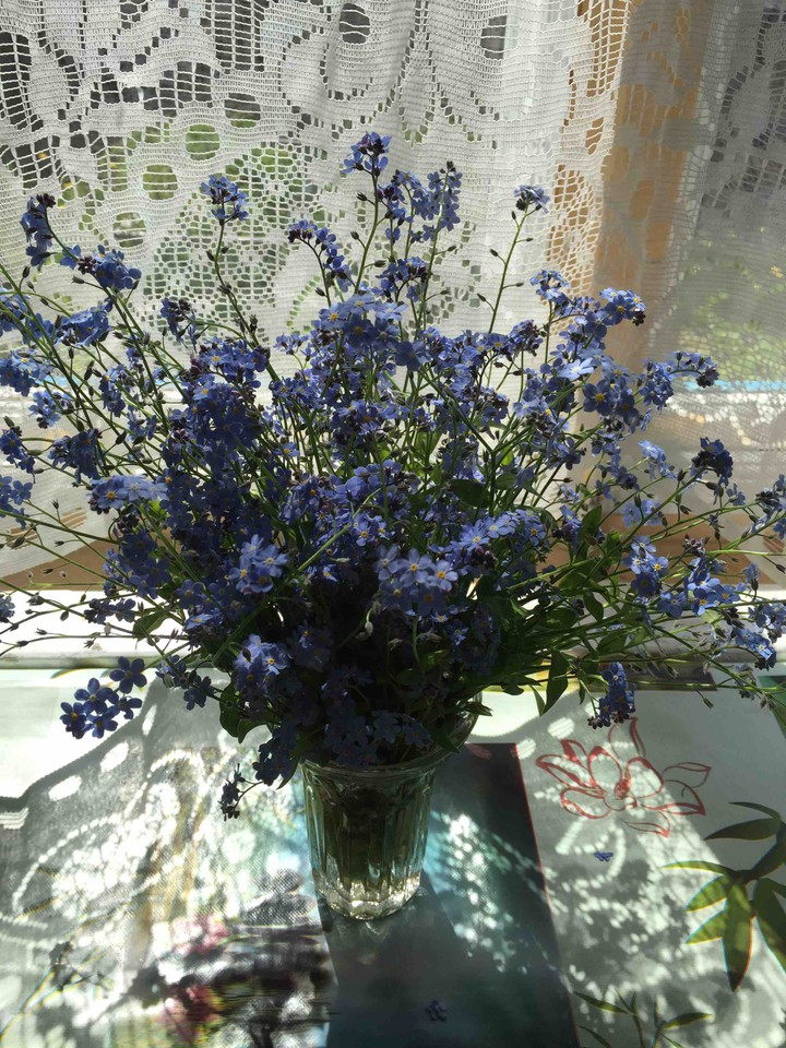 Forget-me-nots