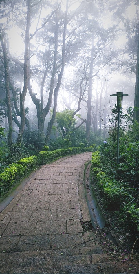 Nature