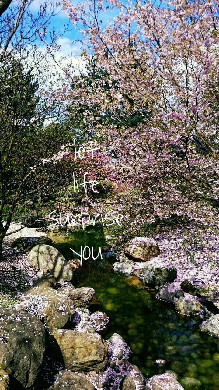 quote