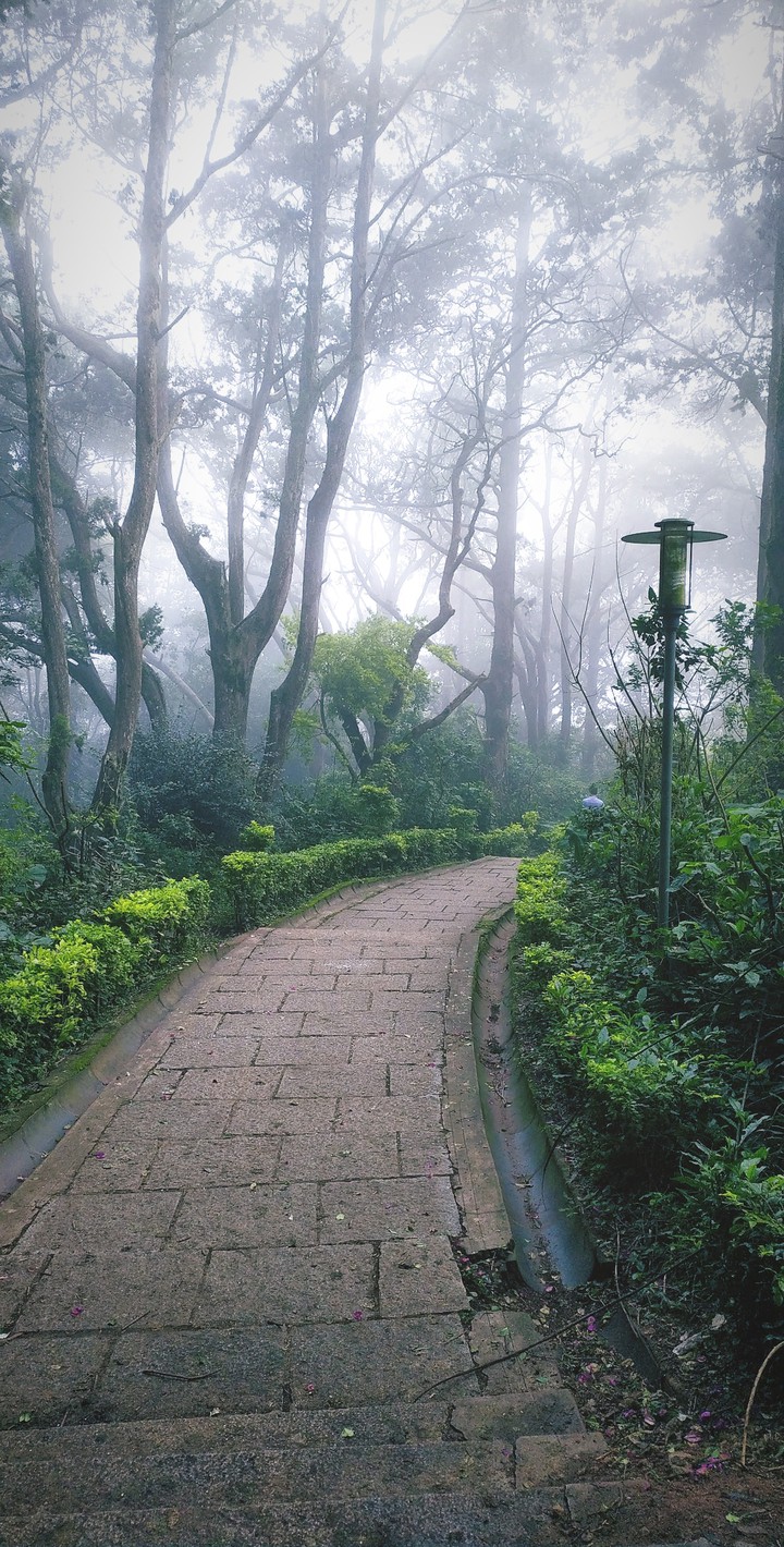Nature
