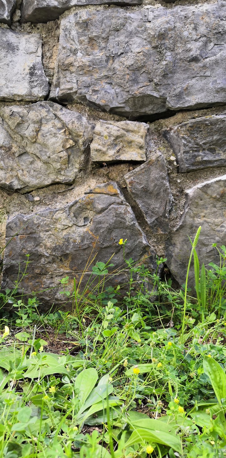 Stones