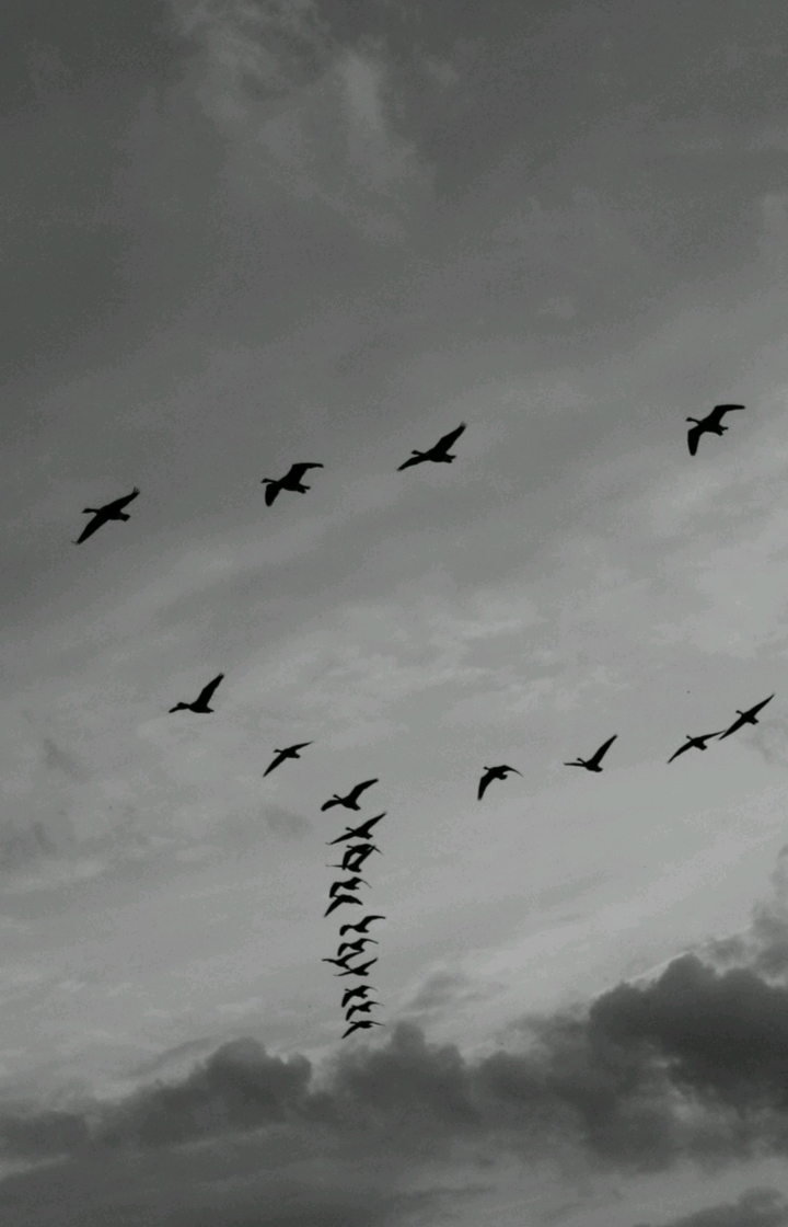 Black and white