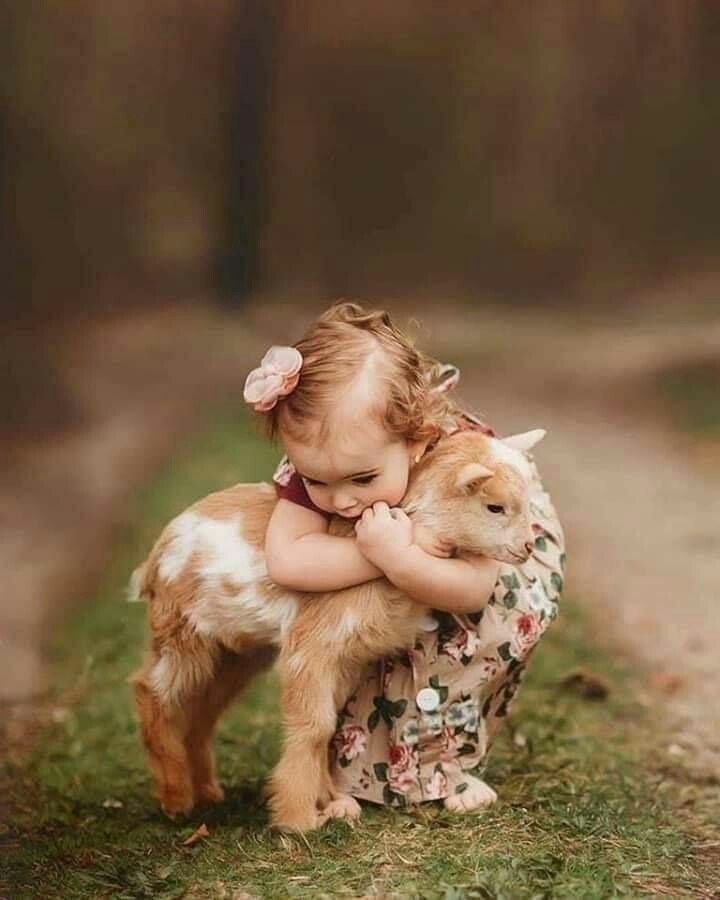 Love from animals