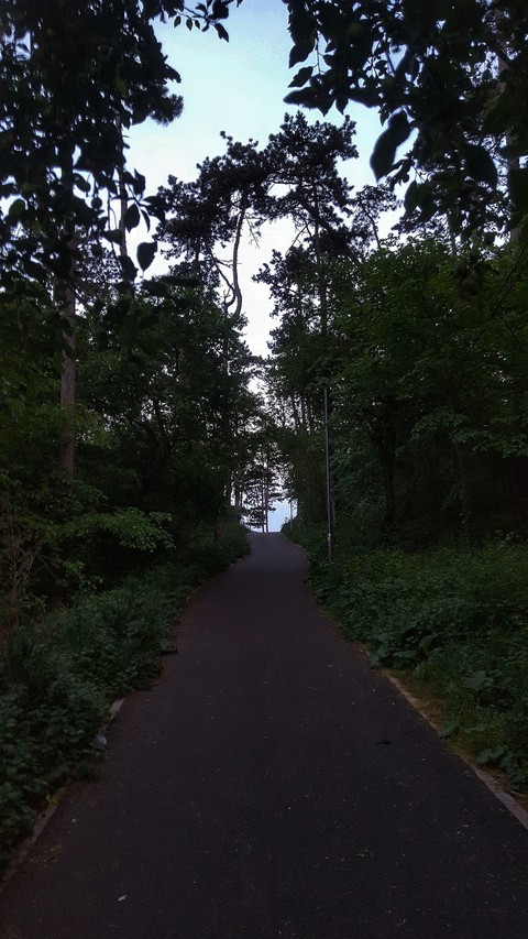 walking
