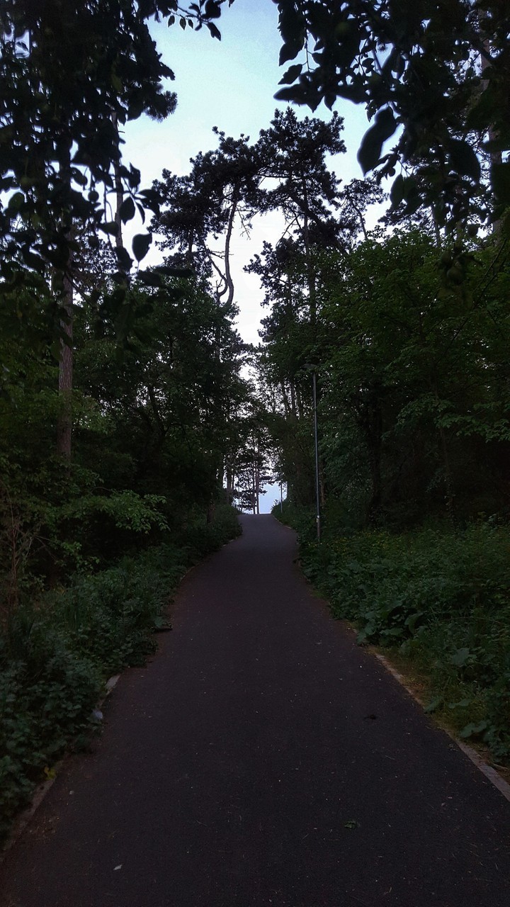 walking
