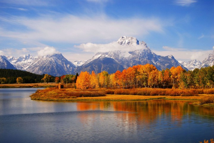 autumn