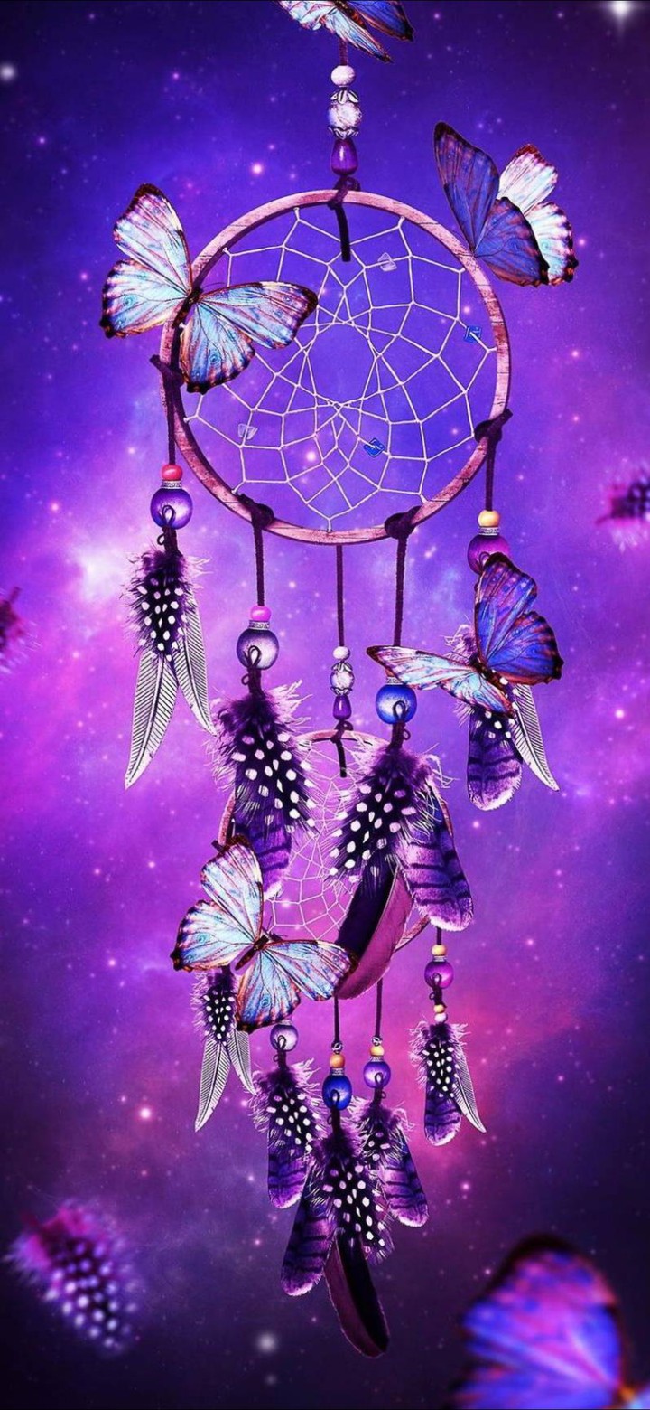 why to let go of dreams?