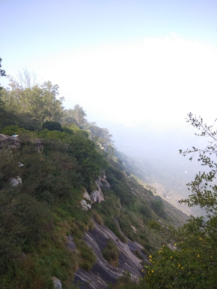 Nature