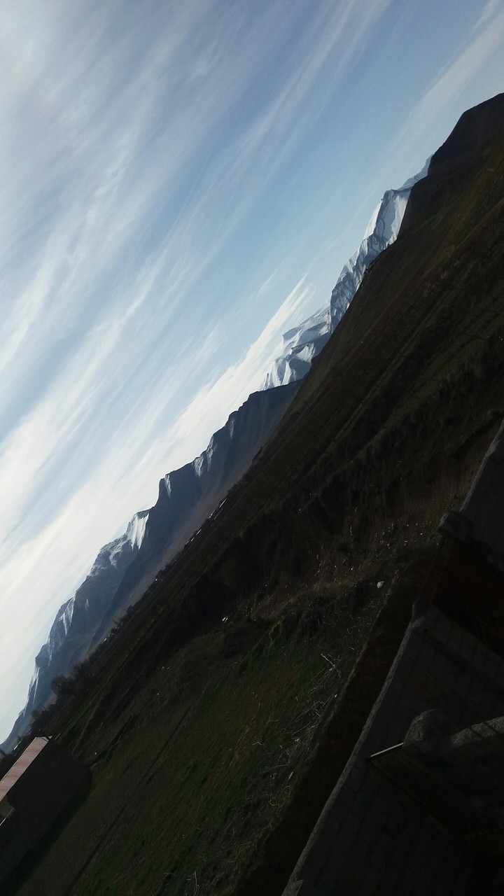 Arak's nature