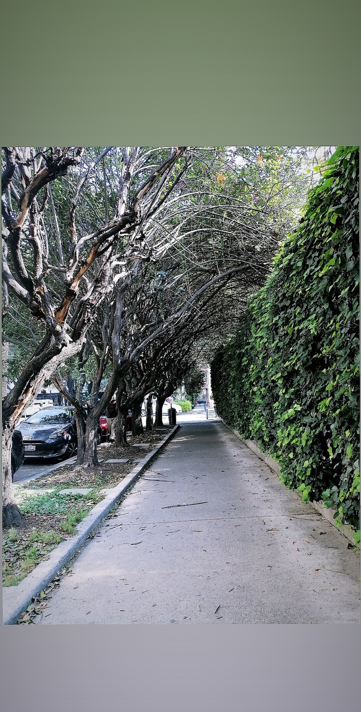 Just road.
