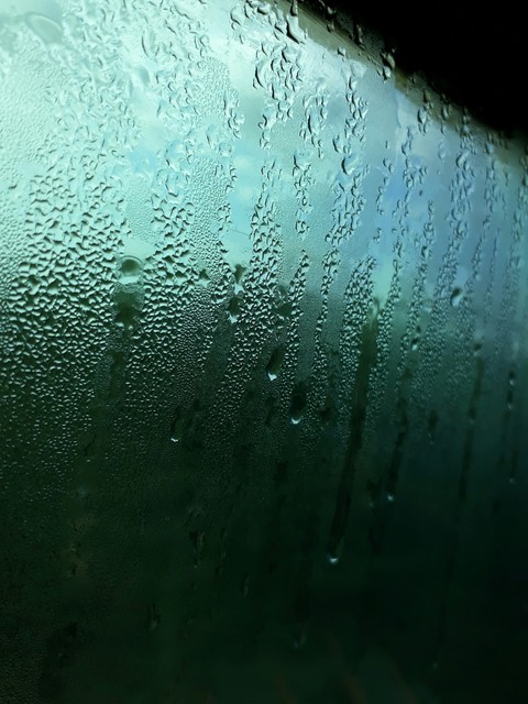 rain