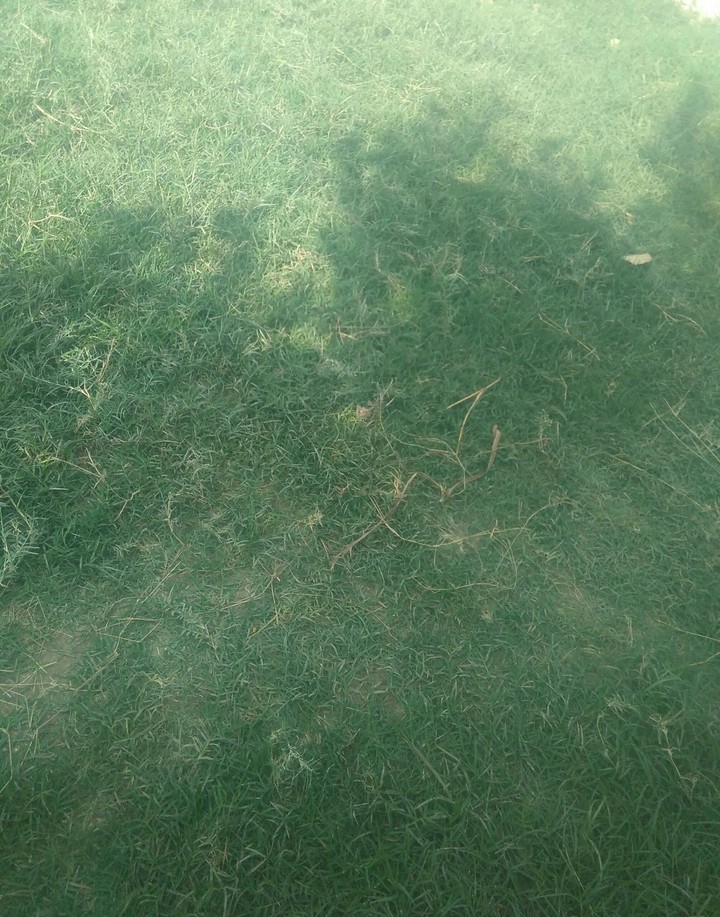 natural picture of man made nature