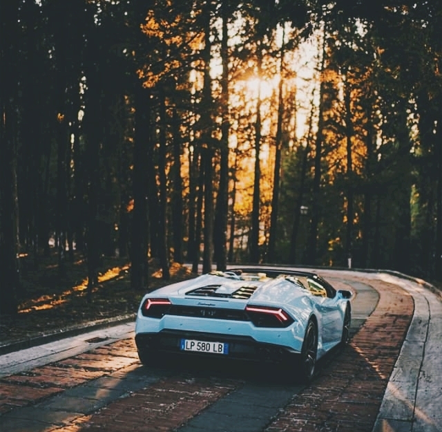 Lamborghini