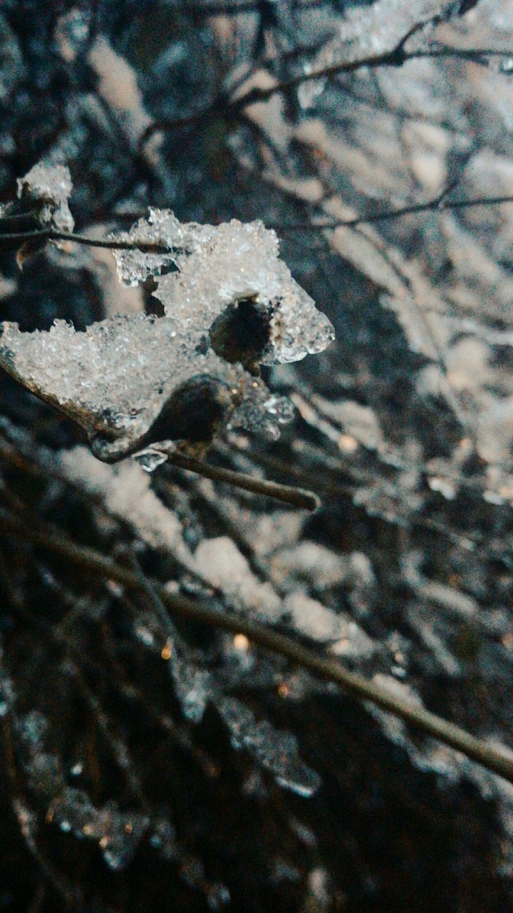 #ice #winter #beautiful #nature