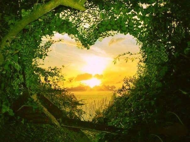 nature heart