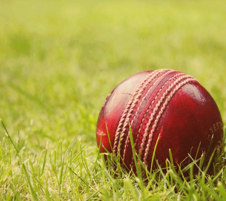 For Cricket Lovers