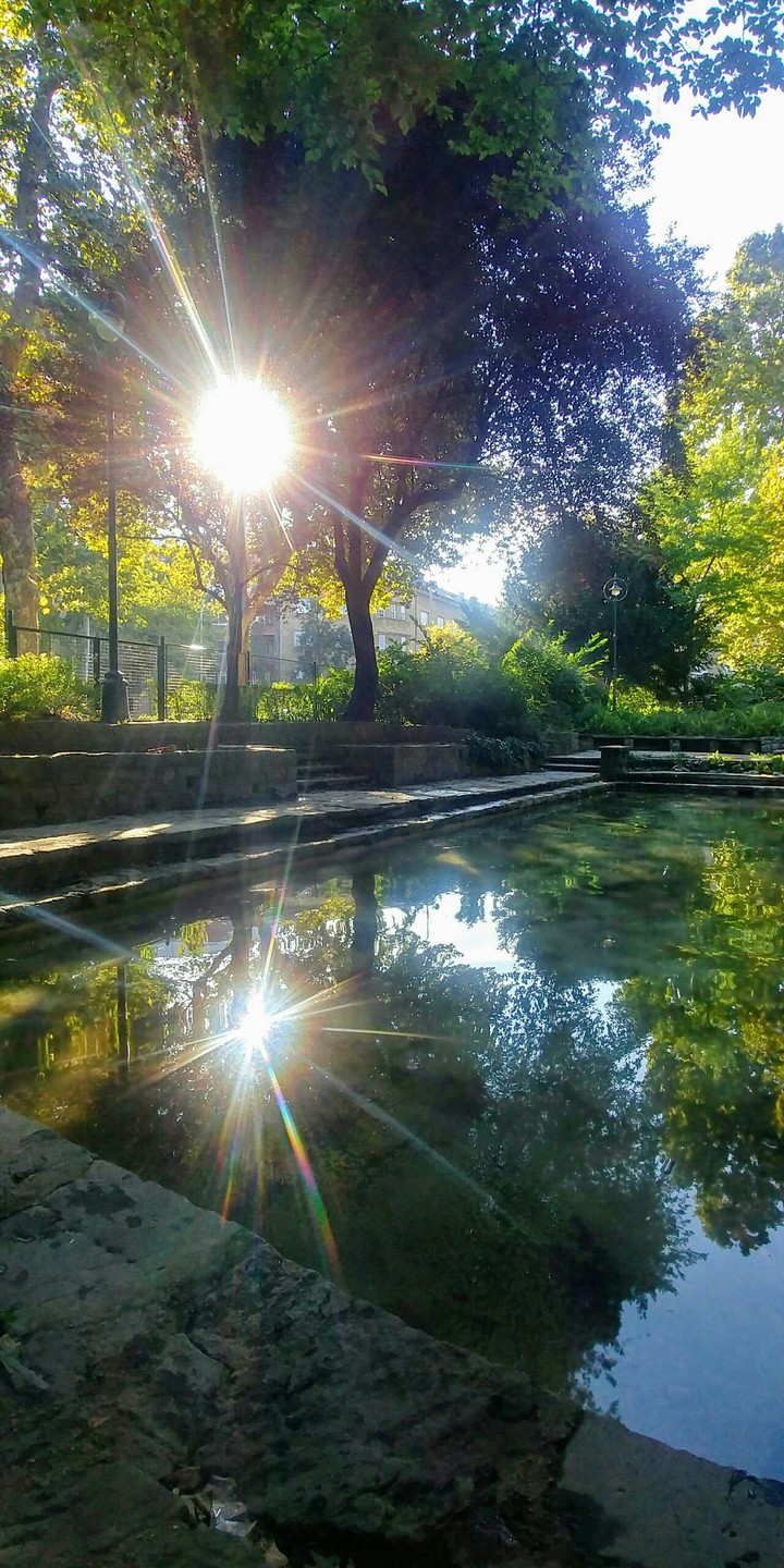 Sunrise in the park