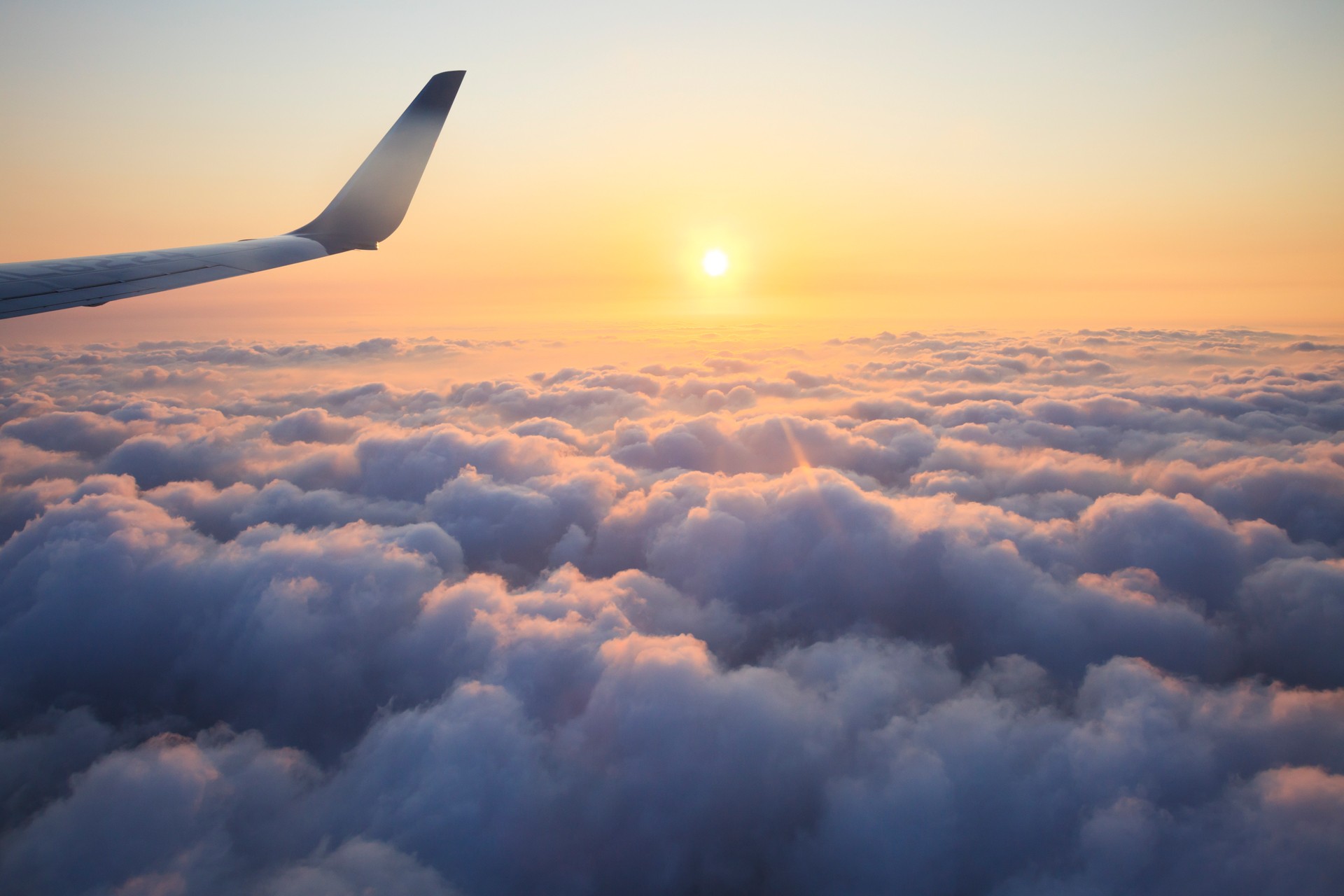 In the Airplane