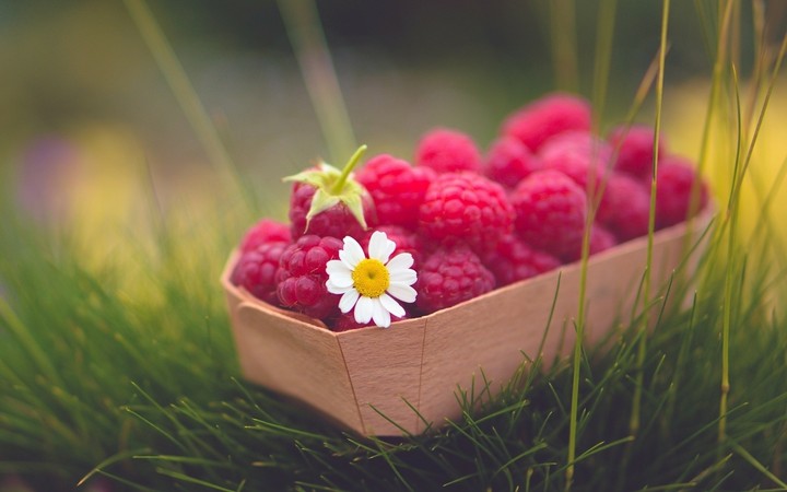 raspberry
