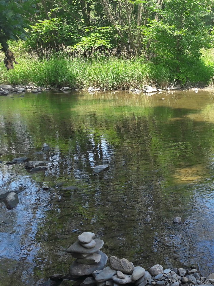 river Odra. Czech Republic