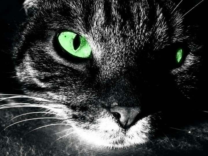 This is my other face EVIL FACE, haven't you liked it???