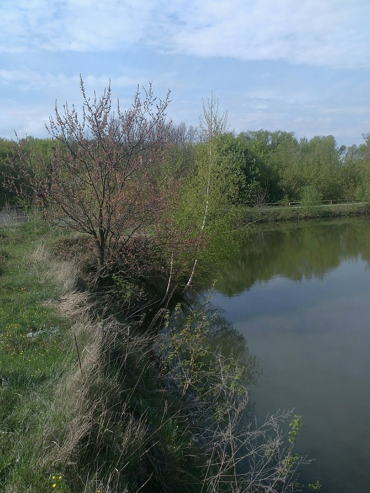 берег.