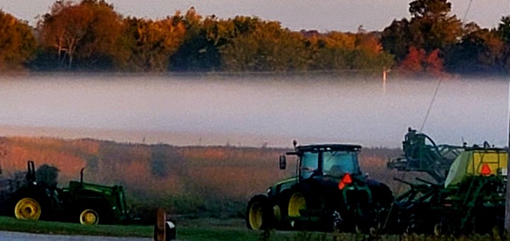 Morning Fog