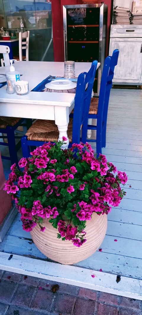 тапети pink, flower