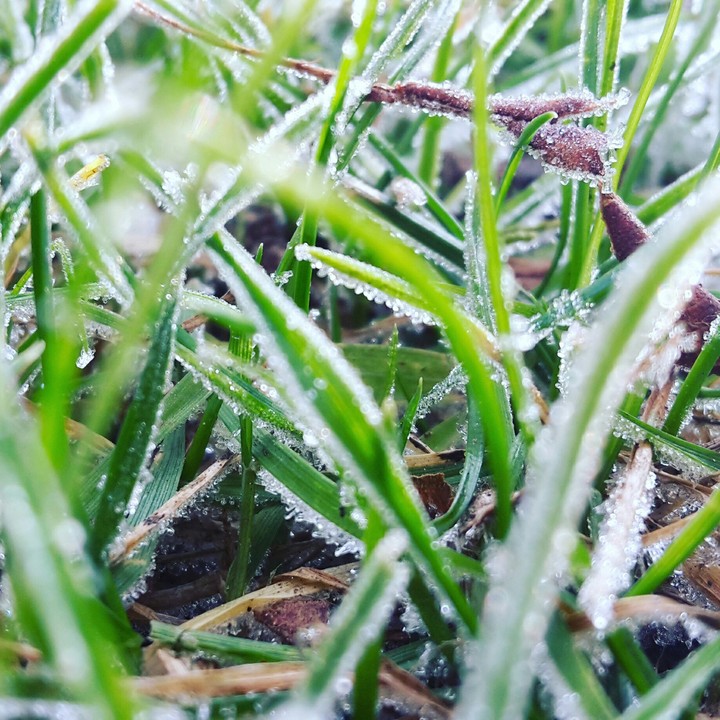 frozen...